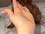 Immagine 5