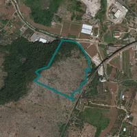 Terreni agricoli a Gaeta (LT) - LOTTO 8