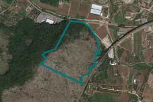 Terreni agricoli a Gaeta (LT) - LOTTO 8