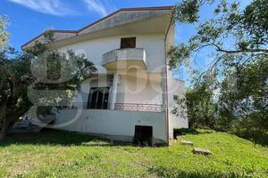 Ufficio Calvi Risorta [Cod. rif 3228440VCU]