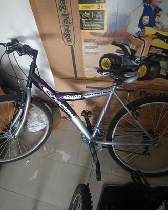 bicicletta ragazzo/a