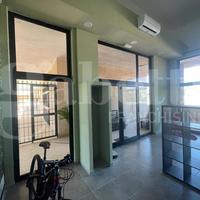 Negozio Nettuno [Cod. comm. tinozziACG] (San Giaco