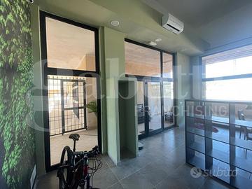 Negozio Nettuno [Cod. comm. tinozziACG] (San Giaco