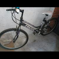 mountain bike ragazza ruota 22pol.