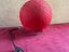 Immagine 6