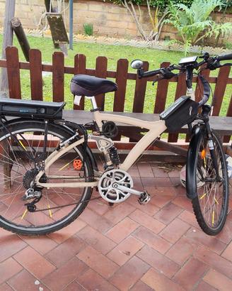 bicicletta elettrica 