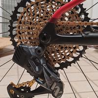 gruppo axs xx1 gold