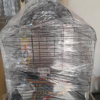 Gabbia volatili