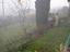 Immagine 26