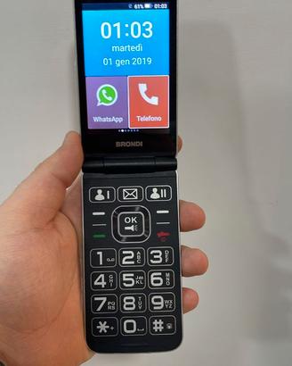 Brondi Amico Flip 4G silver 4 GB - 4720