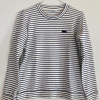 Maglia cotone Lacoste