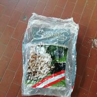 C. E. R. C. O sacchi pellet vuoti 