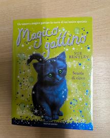 Magico Gattino Scuola di Circo Sue Bentley
