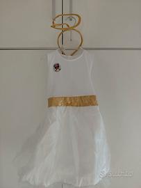 Vestito di carnevale