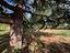 Immagine 26