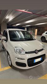 Panda 1.2 GPL casa madre