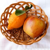 cestino di vimini originale antico vintage