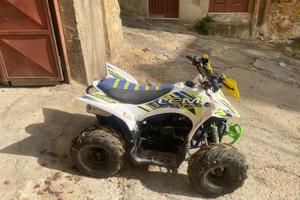 Lem Altro modello - 2022