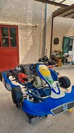 Kart 125 monomarcia gp racing rok