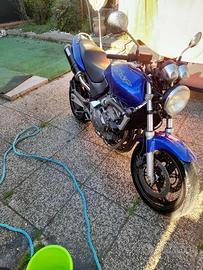 Honda hornet 600