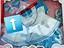 Immagine 6
