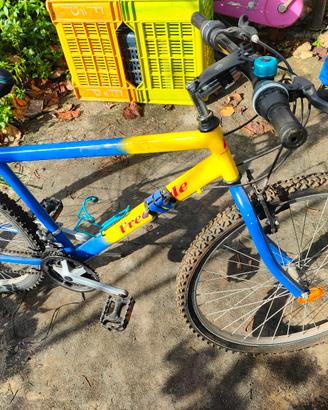 Mountain Bike Freestyle 20 pollici Gialla e Blu