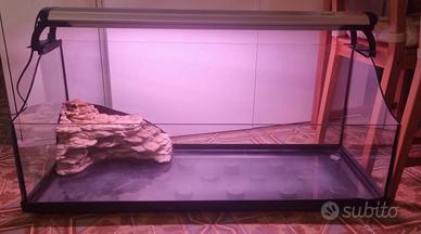 Acquario per le tartarughe d'acqua.