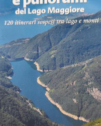 andar per monti e panorami del Lago Maggiore 