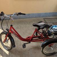 Triciclo Elettrico Adulti 20'' 6V Ansmann