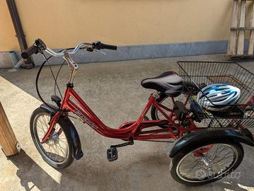 Triciclo Elettrico Adulti 20'' 6V Ansmann