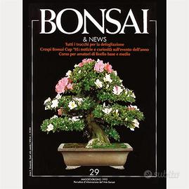 Collezione Bonsai e News 1-36