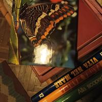 Libri n. 5 per appassionati del regno.animale