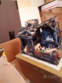 Stupenda scena prespiale (porcile/stalla)