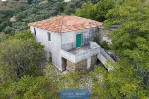 Appartamento con terreno