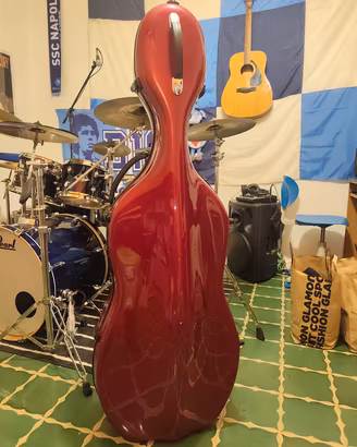 Custodia Vetro resina Violoncello 
