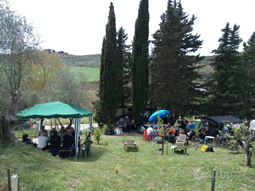 Terreno loc.valli Follonica 1800 mq