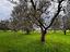 Immagine 12