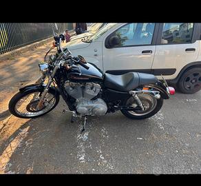 harley davison 883
