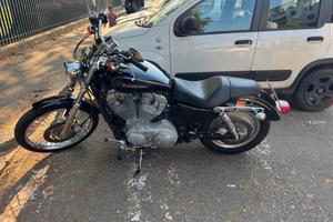 harley davison 883
