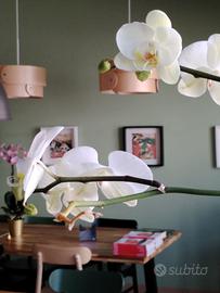 Locale per professionisti del benessere