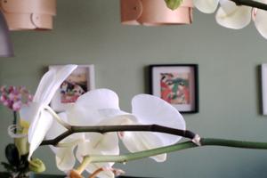 Locale per professionisti del benessere