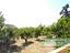 Immagine 19