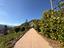 Immagine 23