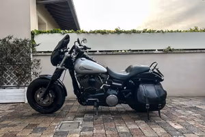 Harley Davidson