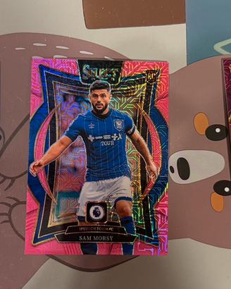 Card panini select