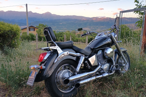 Honda shadow american edition