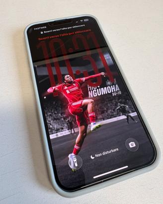 Iphone 13 Pro Max 128 gb
