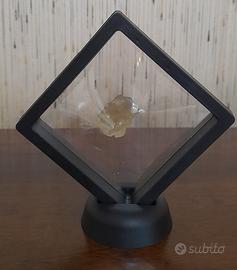 Meteorite 