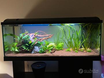 Acquario da 240 litri nero + Mobile e LED