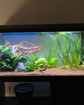 Acquario da 240 litri nero + Mobile e LED